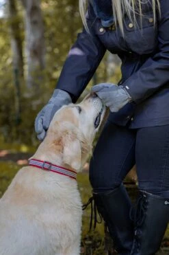 Women's Three-Point Fleece-Lined Suede Gloves -Dents 16.7 1171Charcoal 4 2634Blue