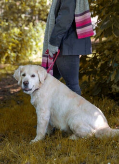 Women’s Knitted Gloves With Neon Striped Cuffs -Dents 4 2849 Dove Grey f8f86457 80f0 4fc7 85b5 f9891b1fd5ae