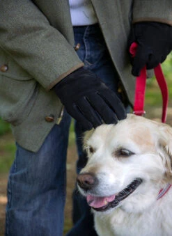 Men's Touchscreen Wool-Lined Leather Gloves With Elasticated Cuffs 7 Men's Touchscreen Wool-Lined Leather Gloves With Elasticated Cuffs -Dents 5 1620 Black